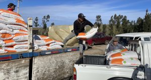 43 crianceros de Alcones Alto, Alcones Bajo y Caleta Río Limarí recibieron ayuda para enfrentar la escasez hídrica.