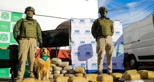 Casi media tonelada de droga fuera de circulación tras exitoso operativo de Carabineros en la región de Coquimbo.