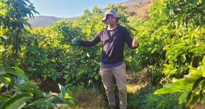 En la localidad de El Toro de Punitaqui, usuario de Indap Enmanuel Espinoza se decidió por trabajar en la agricultura, siguiendo la tradición familiar: “Uno es su propio jefe”