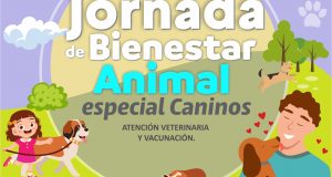 ¡Atención, Ovalle! Te invitamos a participar en la Actividad Especial de Bienestar Animal Canino, donde podrás acceder de manera gratuita