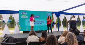 Festival de Talento Verde: estudiantes de educación superior presentaron soluciones para disminuir impactos económicos y sociales del cambio climático